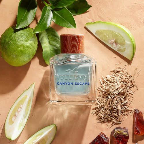 Hollister Canyon Escape For Him Eau de Toilette Spray 100ml